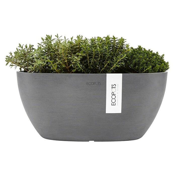 Ecopots Sofia Pflanzschale Sofia (L x B x H: 29,5 x 13,4 x 13,5 cm, Grau) | BAUHAUS