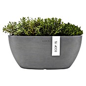 Ecopots Sofia Pflanzschale Sofia (L x B x H: 29,5 x 13,4 x 13,5 cm, Grau) | BAUHAUS