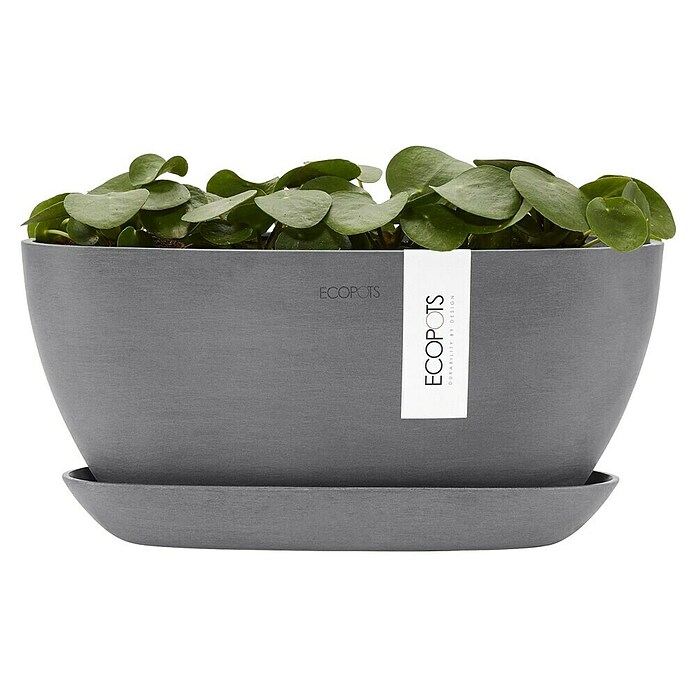 Ecopots Sofia Pflanzschale Sofia (L x B x H: 29,5 x 13,4 x 13,5 cm, Grau) | BAUHAUS