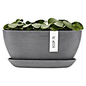 Ecopots Sofia Pflanzschale Sofia (L x B x H: 29,5 x 13,4 x 13,5 cm, Grau) | BAUHAUS