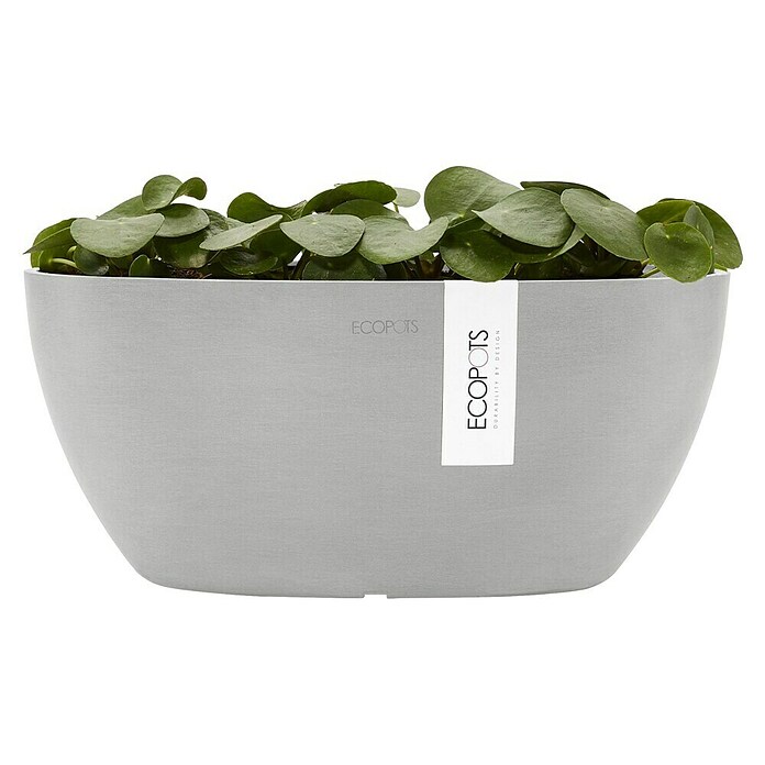 Ecopots Sofia Pflanzschale Sofia (L x B x H: 29,5 x 13,4 x 13,5 cm, Weißgrau) | BAUHAUS