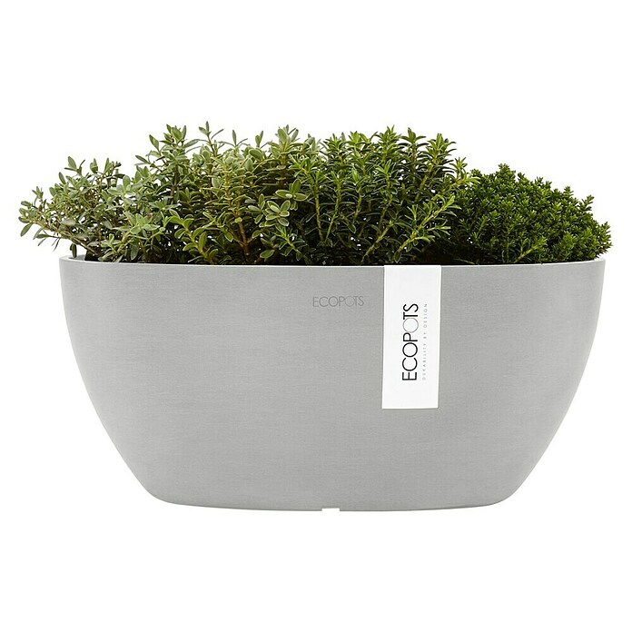 Ecopots Sofia Pflanzschale Sofia (L x B x H: 29,5 x 13,4 x 13,5 cm, Weißgrau) | BAUHAUS