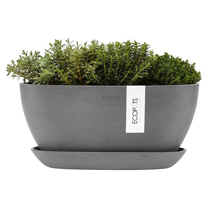 Ecopots Sofia Pflanzschale Oval (L x B x H: 30 x 13 x 13,5 cm, Grau) | BAUHAUS