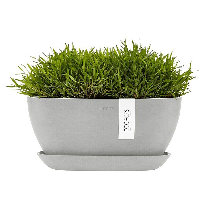 Ecopots Sofia Pflanzschale Sofia (L x B x H: 29,5 x 13,4 x 13,5 cm, Weißgrau) | BAUHAUS