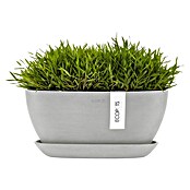 Ecopots Sofia Pflanzschale Sofia (L x B x H: 29,5 x 13,4 x 13,5 cm, Weißgrau) | BAUHAUS
