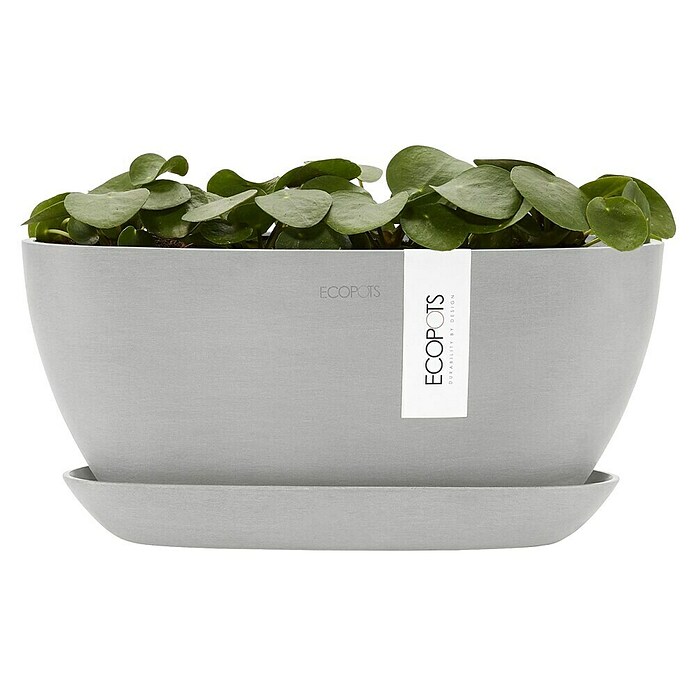Ecopots Sofia Pflanzschale Sofia (L x B x H: 29,5 x 13,4 x 13,5 cm, Weißgrau) | BAUHAUS