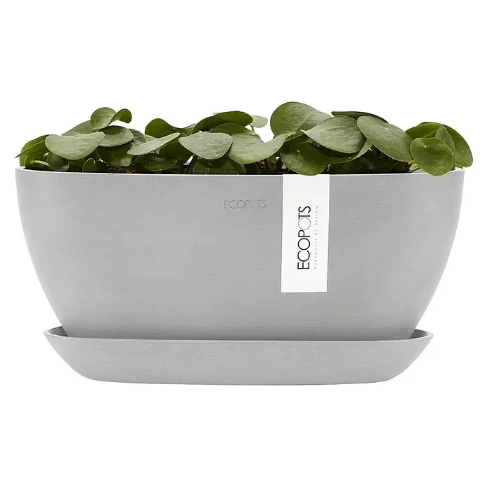 Ecopots Sofia Pflanzschale rund Oval - Weißgrau - Hellgrauer ECOPOTS Pflanztopf mit Untersetzer, gefüllt mit Grünpflanzen.