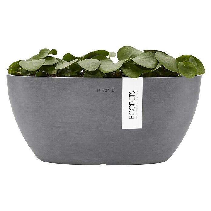 Ecopots Sofia Pflanzschale Sofia (L x B x H: 29,5 x 13,4 x 13,5 cm, Grau) | BAUHAUS