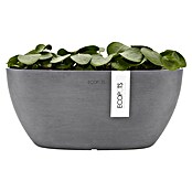 Ecopots Sofia Pflanzschale Sofia (L x B x H: 29,5 x 13,4 x 13,5 cm, Grau) | BAUHAUS