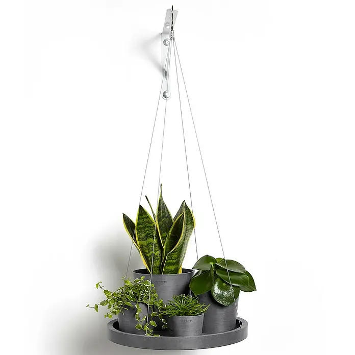 Ecopots Blumenampel - Außenmaß (Ø x H): 36 x 3 cm, Kunststoff, Grau - Ein hängendes Pflanzenregal mit drei grauen Töpfen, bepflanzt mit verschiedenen Grünpflanzen, hängt an einer Wandhalterung.