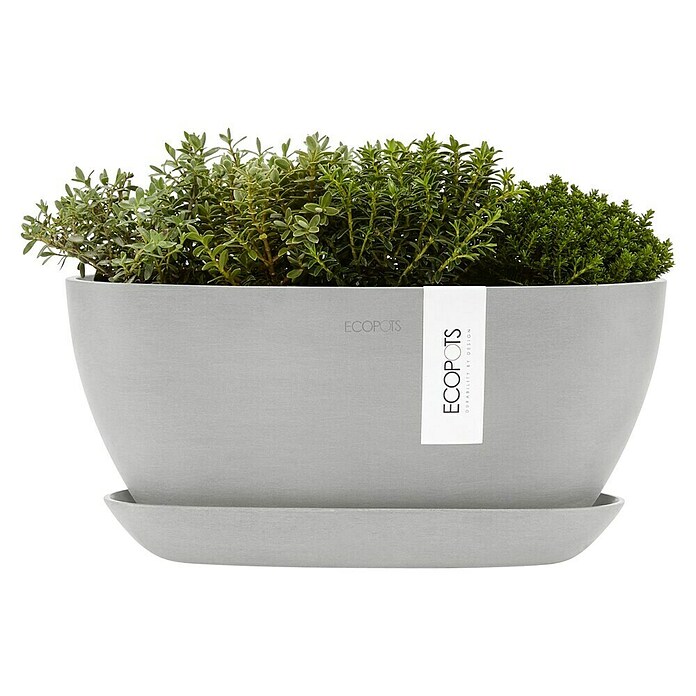 Ecopots Sofia Pflanzschale Oval (L x B x H: 30 x 13 x 13,5 cm, Weißgrau) | BAUHAUS