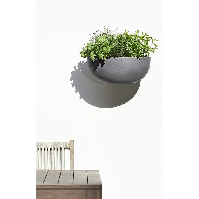 Ecopots Sofia Pflanztopf Wall (L x B x H: 43 x 25 x 17,5 cm, Kunststoff, Grau) | BAUHAUS