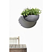 Ecopots Sofia Pflanztopf Wall (L x B x H: 43 x 25 x 17,5 cm, Kunststoff, Grau) | BAUHAUS