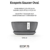 Ecopots Sofia Blumentopf-Untersetzer Oval (Außenmaß (L x B x H): 25,6 x 11,7 x 3 cm, Kunststoff, Grau) | BAUHAUS