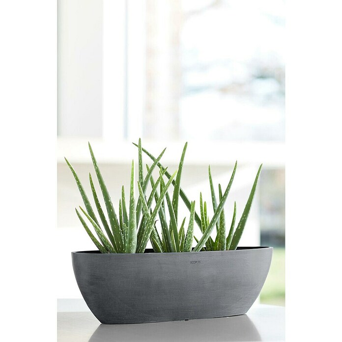 Ecopots Sofia Pflanzschale Lang (Außenmaß (L x B x H): 56 x 14 x 16 cm, Grau) | BAUHAUS