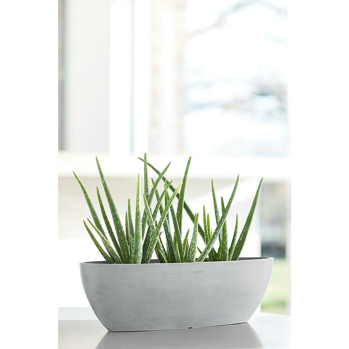 Ecopots Sofia Pflanzschale Lang (Außenmaß (L x B x H): 56 x 14 x 16 cm, Weißgrau) | BAUHAUS