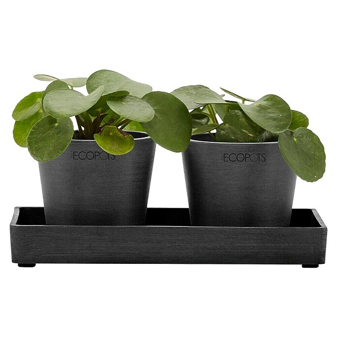 Ecopots Blumentopf-Untersetzer (L x B x H: 20 x 10 x 2,5 cm, Kunststoff, Dunkelgrau) | BAUHAUS