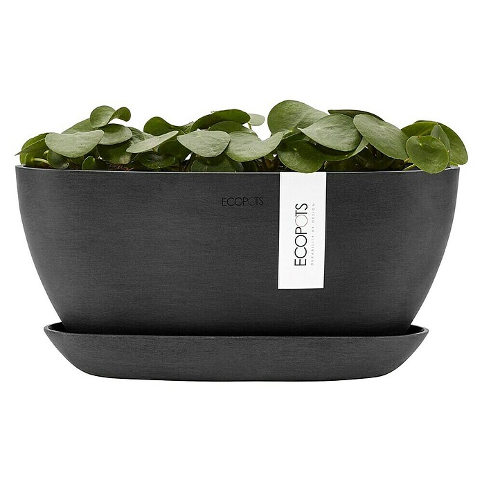 Ecopots Sofia Pflanzschale Oval (L x B x H: 29,5 x 13,4 x 13,5 cm, Grau) | BAUHAUS