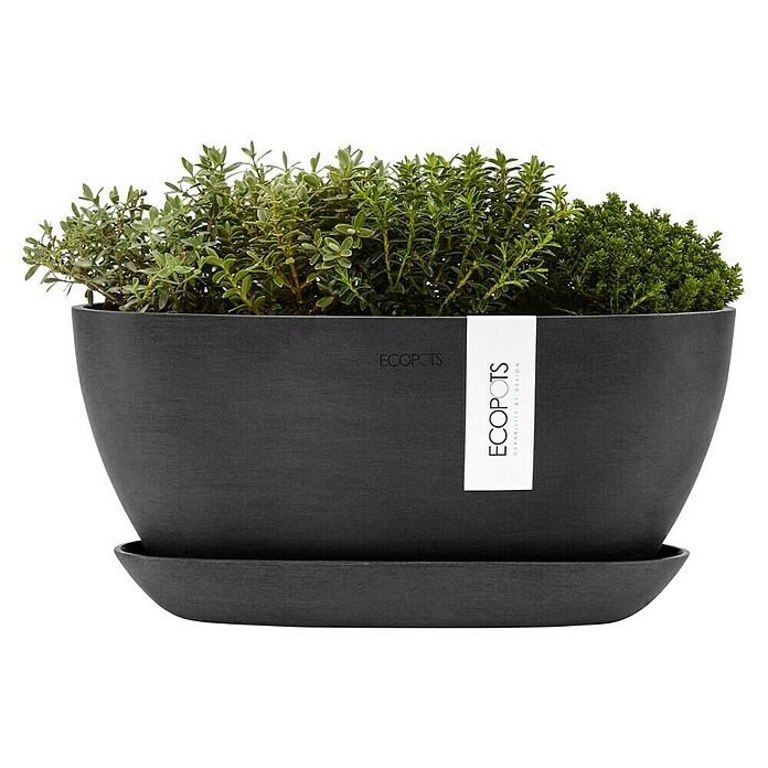 Ecopots Sofia Pflanzschale Oval (L x B x H: 29,5 x 13,4 x 13,5 cm, Grau) | BAUHAUS