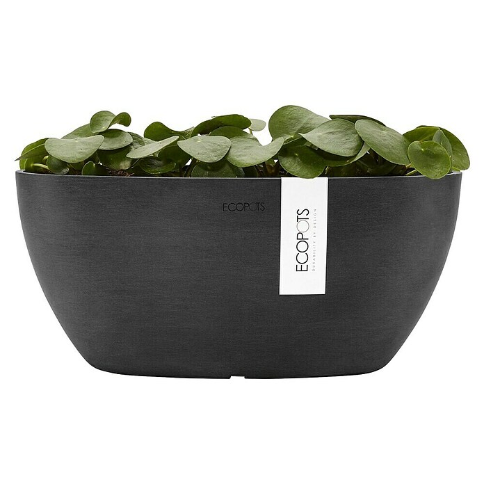 Ecopots Sofia Pflanzschale Oval (L x B x H: 29,5 x 13,4 x 13,5 cm, Grau) | BAUHAUS