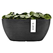 Ecopots Sofia Pflanzschale Oval (L x B x H: 29,5 x 13,4 x 13,5 cm, Grau) | BAUHAUS