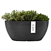 Ecopots Sofia Pflanzschale Oval (L x B x H: 30 x 13 x 13,5 cm, Dunkelgrau) | BAUHAUS