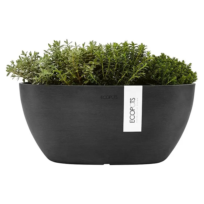 Ecopots Sofia Pflanzschale rund Oval - Dunkelgrau - Texturierter, dunkelgrauer ovaler Pflanzkübel mit leuchtend grünen Pflanzen.