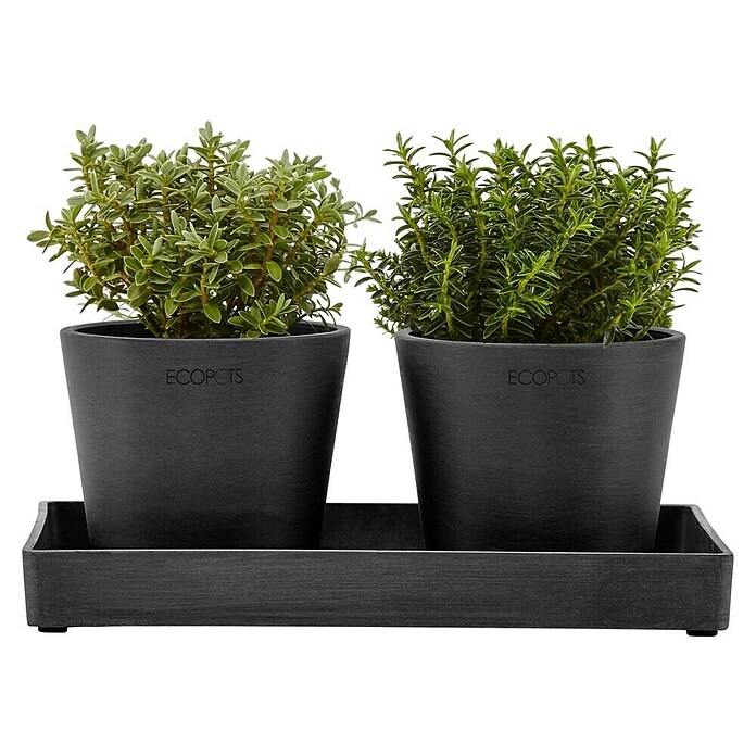 Ecopots Blumentopf-Untersetzer (L x B x H: 25 x 15 x 2,5 cm, Kunststoff, Dunkelgrau) | BAUHAUS