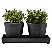 Ecopots Blumentopf-Untersetzer (L x B x H: 25 x 15 x 2,5 cm, Kunststoff, Dunkelgrau) | BAUHAUS