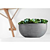 Ecopots Sofia Pflanzschale Groß (L x B x H: 43 x 25 x 17,5 cm, Grau) | BAUHAUS