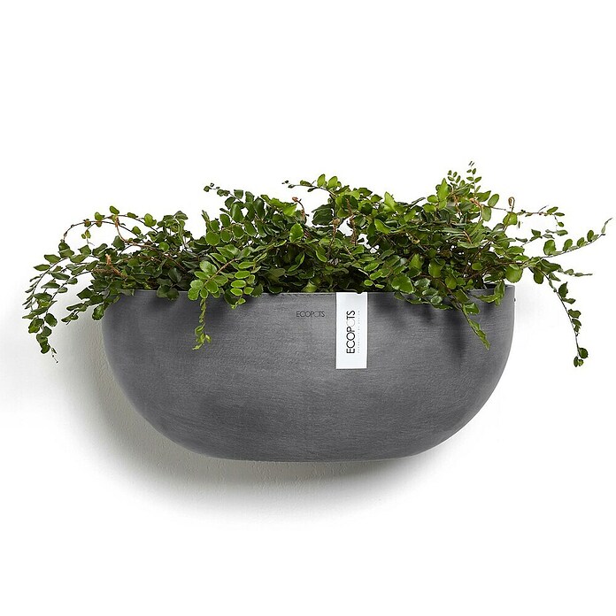 Ecopots Sofia Pflanztopf Wall (L x B x H: 43 x 25 x 17,5 cm, Kunststoff, Grau) | BAUHAUS