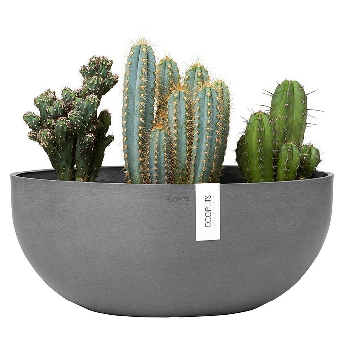 Ecopots Sofia Pflanzschale Groß (L x B x H: 43 x 25 x 17,5 cm, Grau) | BAUHAUS