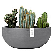 Ecopots Sofia Pflanzschale Groß (L x B x H: 43 x 25 x 17,5 cm, Grau) | BAUHAUS