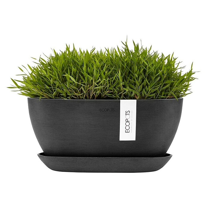 Ecopots Sofia Pflanzschale Oval (L x B x H: 29,5 x 13,4 x 13,5 cm, Grau) | BAUHAUS