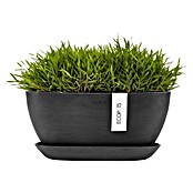 Ecopots Sofia Pflanzschale Oval (L x B x H: 29,5 x 13,4 x 13,5 cm, Grau) | BAUHAUS