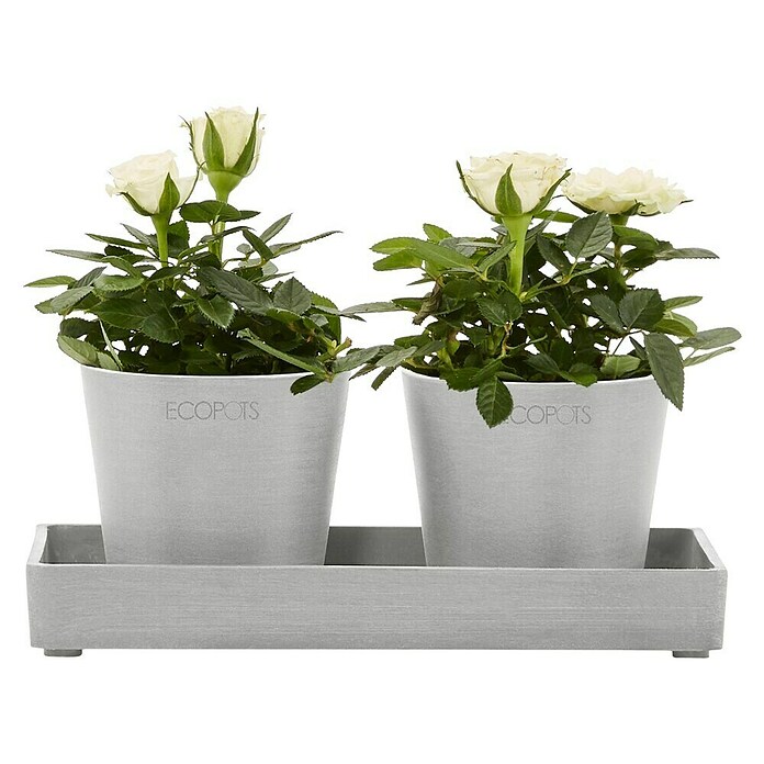 Ecopots Blumentopf-Untersetzer (L x B x H: 20 x 10 x 2,5 cm, Kunststoff, Weißgrau) | BAUHAUS