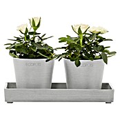 Ecopots Blumentopf-Untersetzer (L x B x H: 20 x 10 x 2,5 cm, Kunststoff, Weißgrau) | BAUHAUS