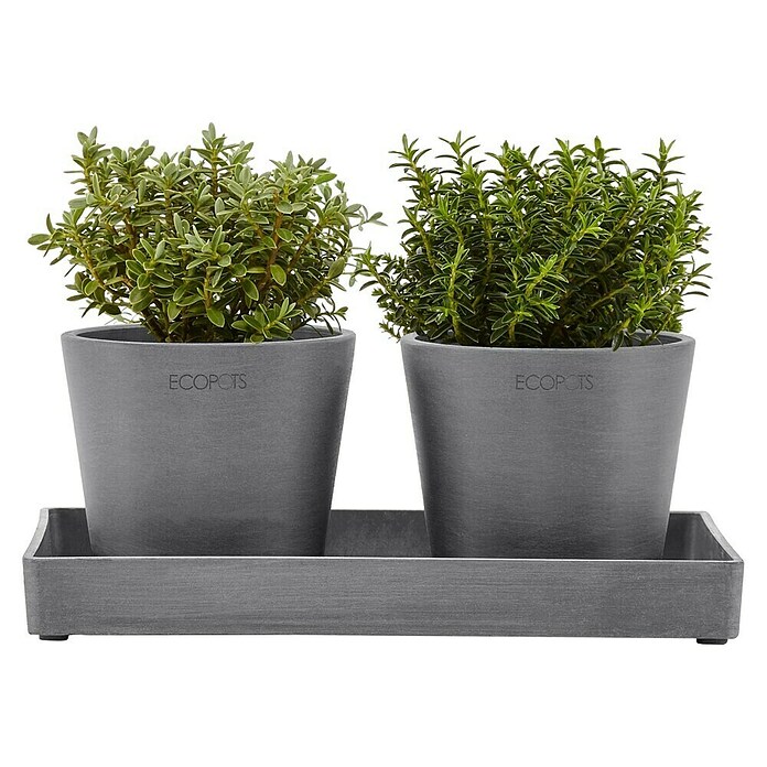 Ecopots Blumentopf-Untersetzer (L x B x H: 25 x 15 x 2,5 cm, Kunststoff, Grau) | BAUHAUS