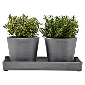 Ecopots Blumentopf-Untersetzer (L x B x H: 25 x 15 x 2,5 cm, Kunststoff, Grau) | BAUHAUS