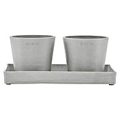 Ecopots Blumentopf-Untersetzer (L x B x H: 25 x 15 x 2,5 cm, Kunststoff, Weißgrau) | BAUHAUS