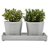 Ecopots Blumentopf-Untersetzer (L x B x H: 25 x 15 x 2,5 cm, Kunststoff, Weißgrau) | BAUHAUS