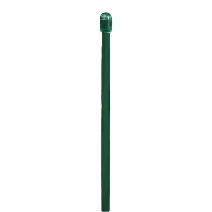 Floraworld Geflechtspannstab - Länge: 105 cm, Durchmesser: 6 mm, Moosgrün - Langer, dunkelgrüner Gartenstecker mit einer gewölbten, durchsichtigen grünen Kappe.