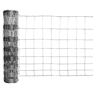 Floraworld Knotengeflecht (L x H: 50 m x 100 cm, Draht, Silber)
