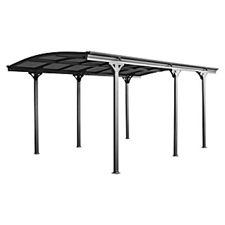 Floraworld Carport (Außenmaß inkl. Dachüberstand (B x T): 3 x 5,05 m, Einzelcarport, Anthrazit)