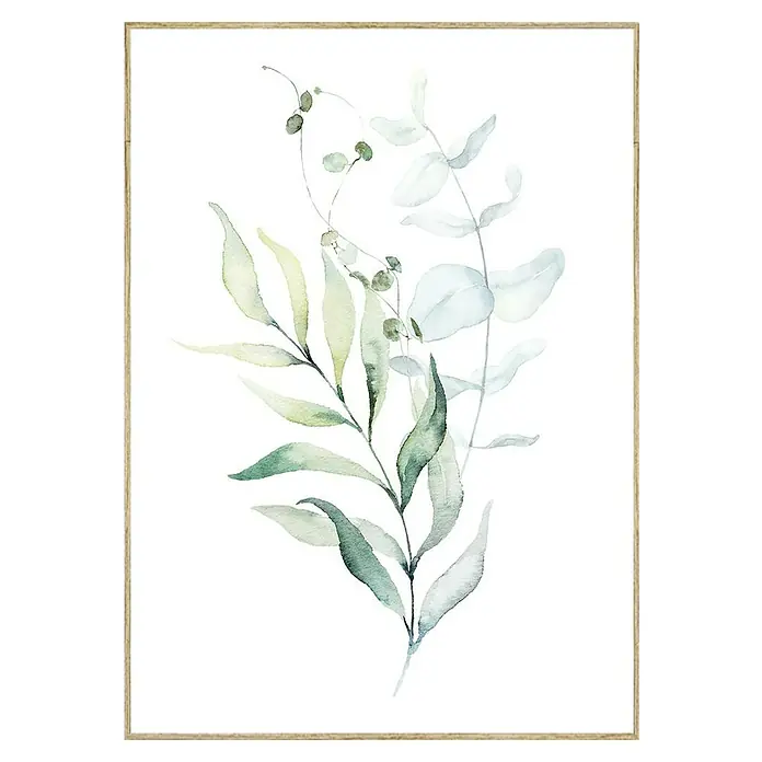 Lienzo Hojas acuarelas - Hojas acuarela, An x Al: 50 x 70 cm - Una impresión de acuarela que muestra hojas verdes delicadas y un marco, agregando un toque natural y elegante a la imagen. Ideal para la decoración moderna.