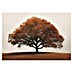 Cuadro Árbol marrón 