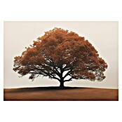 Cuadro Árbol marrón (Árbol marrón, An x Al: 100 x 70 cm, 1 pzs.) | BAUHAUS