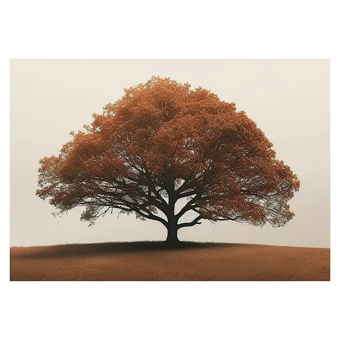 Cuadro Árbol marrón - Árbol marrón, An x Al: 100 x 70 cm, 1 pzs. - Árbol de otoño en una colina. Un árbol aislado con hojas naranjas en una suave colina, muestra la belleza de la naturaleza.
