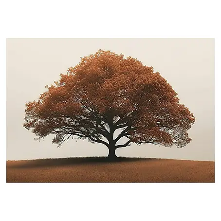 Cuadro Árbol marrón