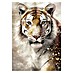 Lienzo Tigre color 